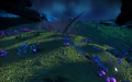 Nightlife on APP after the Blossoming