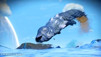 ImmortalWorm212