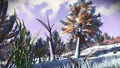 Plant life on Ifnaluri is flourishing despite the frigid temperature