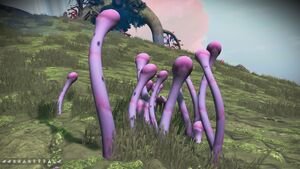 EisHub Prototerrae Album
