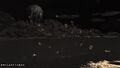 Swarm, night