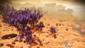 Tephasad XVI is a beautiful paradise planet.