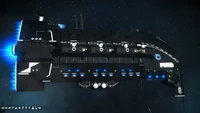 Black white sentinel