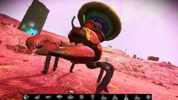 Sky beetle cheap