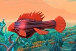 B. Muluchkehoaetus