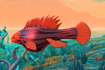B. Muluchkehoaetus