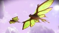 A pair of flying creatures on Noswaal
