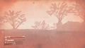 Day Storm
