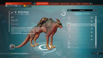 V. Articitoe