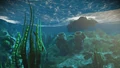 The underwater environments on Jokuju