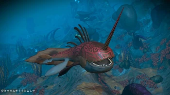 Narly (Q. Bloatrajanurae)