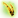 PRODUCT.PLANT.ALL1WILD.png