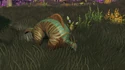Viky. xD-loc-01a-fauna-02a