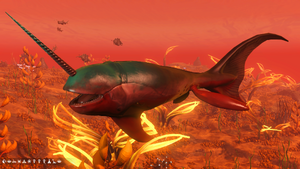 CalHub Rare Fauna Album