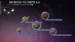 MCB055-YG1MPR Iutaib-Nover
