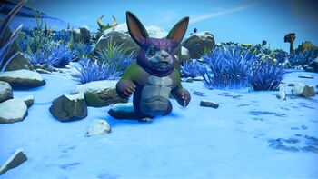 Genus Catalog - Mogara-Teddy Bear