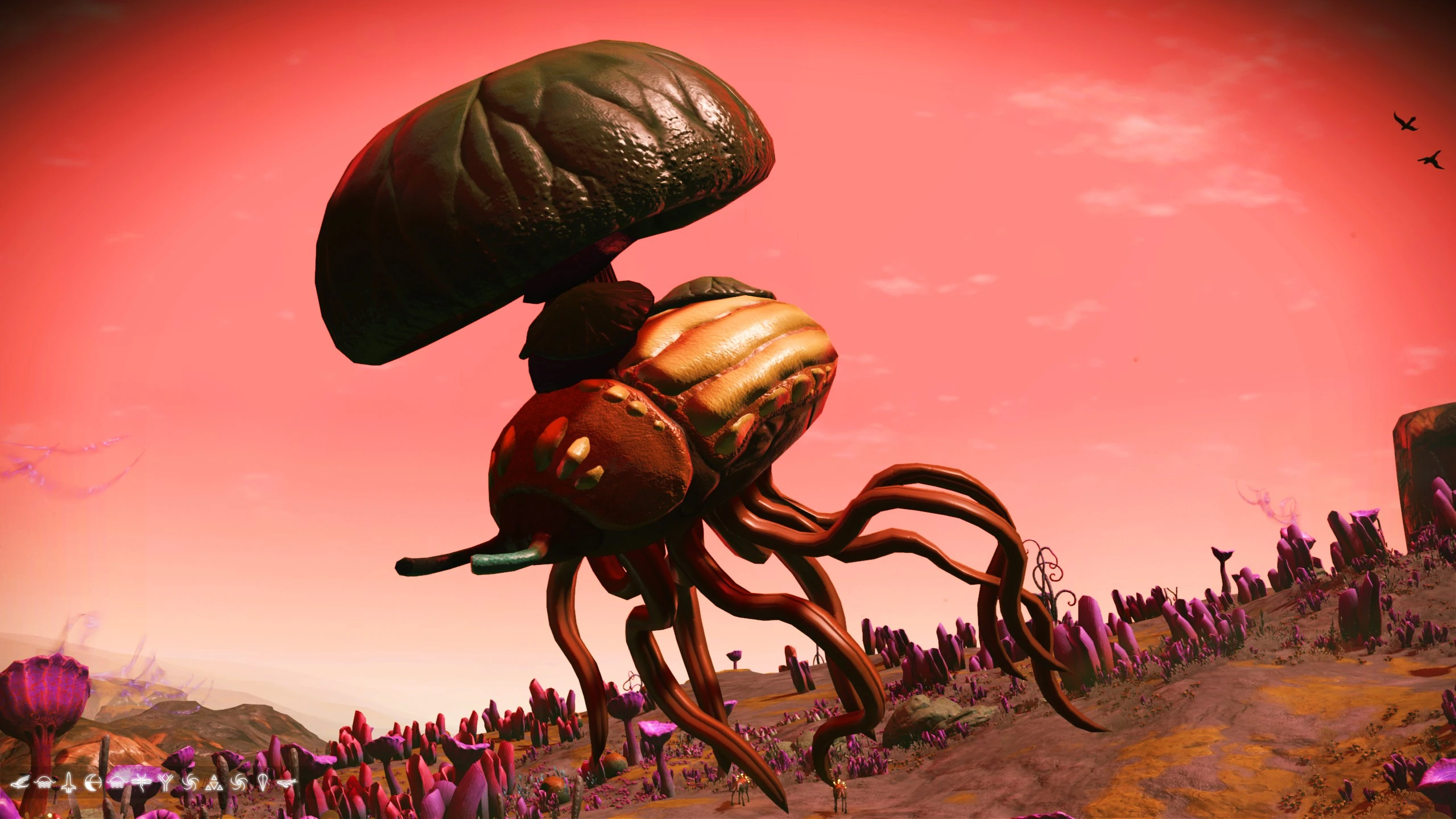 ★MOEBIUS EL CAZADOR CAZADOスペイン語2012年メビウス MOEBIUS “EL CAZADOR CAZADO” (スペイン語版) 2012年発行 メビウス