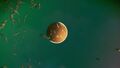 Planet view