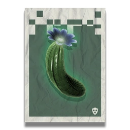 Cactus Flesh Poster - No Man's Sky Wiki