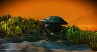 20210607203233 1