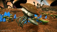 O. Claycidumnum Prime