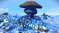 JWoodgaolima1