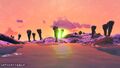 Dawn landscape