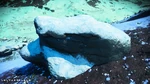 20220711212108 1
