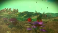The unusually lush environment of the irradiated planet Gemi Omega