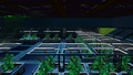NipNip Vault