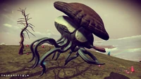 H. Festernoxium Prime