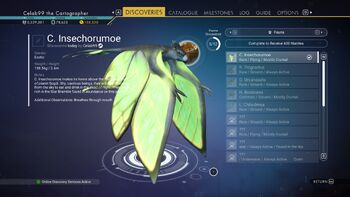 C. Insechorumoe