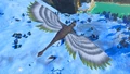 Dwarf Drekiorn from planet Varmr-Hol. One of the smallest Cycromys ever discovered.