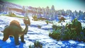 Diplos can be found across the planet