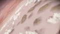 A closer look at Vaporis