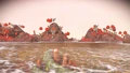Looking across a shallow cove