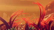 Zuphliu Underwater