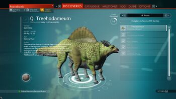 Q. Treehodameum