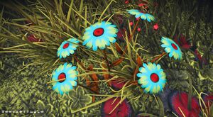 CalHub Flower Album