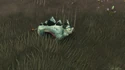 Viky. xD-fauna-04a