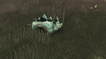T. Swandeus