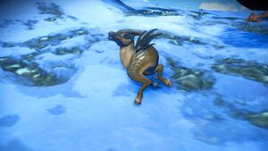 Genus Catalog - Reococcyx-Spined