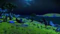 The planet is wonderful to wander at night