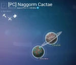 (PC) Naggorm Cactae