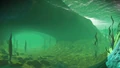 Beneath the waters surface lies a network of flooded caves