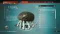 Discovery Menu