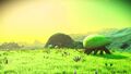 Nms 20170321051656.jpg