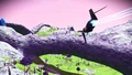 The Aibailla flying over the surface