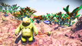 Ward Prime 8D, a tropical planet with 6m primitive Mogara Geks.