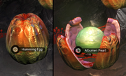 Nms Humming Egg Albumen Pearl